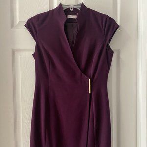 Calvin Klein Deep Purple Fitted Dress - Women's Small